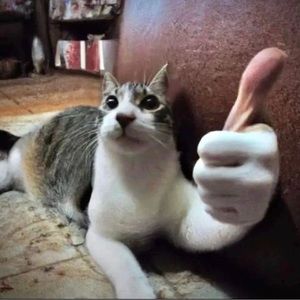 Meet your Posher, Comrade